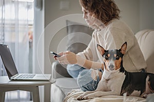 Pretty curly happy young woman sitting at home on couch in front of a laptop with a mobile phone in her hands with her pet dog