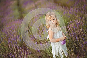 Pretty cute little girl is wearing white dress in a lavender field holding a basket full of purple flowers