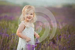 Pretty cute little girl is wearing white dress in a lavender field holding a basket full of purple flowers