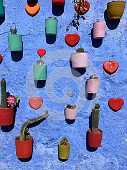 Pretty display of flower pots on wall, Chefchaouen, blue city, Morocco