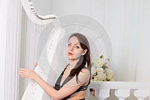 Pretty elegant musician playing the harp