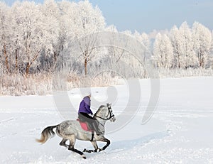 Pretty equestrian girl riding her black horse through snow outdoors