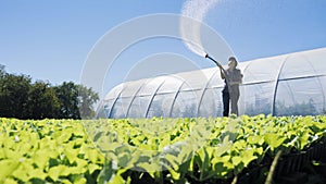 Pretty farmer irrigates green young seedlings on the field near the greenhouse photo