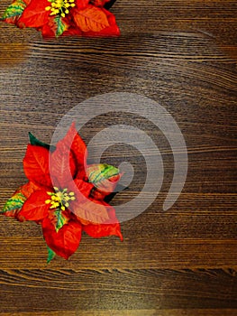 Pretty Faux Red Christmas Poinsettias in a Row on Stone Floor against Textured Rustic Wood Board Wall Background with extra room