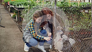 Pretty female farmer and her beautiful daughter in aprons are playing with rabbits in cage on farm. Domestic animals