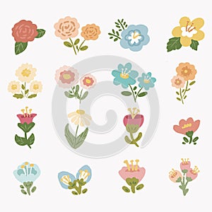 Pretty flower floral collection 4