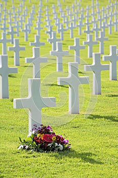 Pretty flowers by grave of unmarked headstone