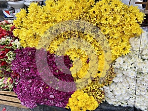 Pretty Flowers for Sale at a Market in Chilpancingo photo