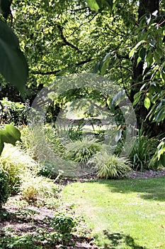 Pretty Garden in the spring sunshine