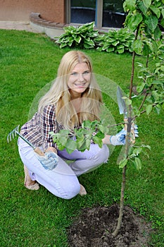 Pretty gardener woman planting apple tree