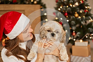Pretty girl holding puppy in hands and looking on it with toothy smile, posing in cozy room with christmas tree and gift boxes,