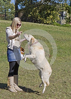 Pretty girl with labrador 3