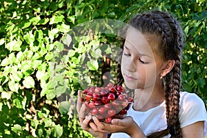 pretty girl with pigtails in white T-shirt is holding glass vase with ripe, juicy cherries. Concept of gardening and harvesting.