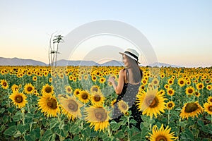 Pretty girl standing in background of sunflower field during sunset light.