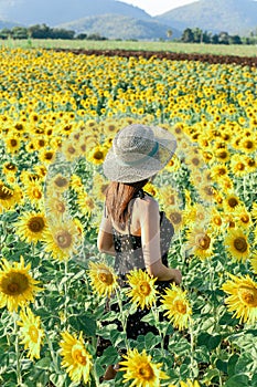 Pretty girl standing in background of sunflower field during sunset light.