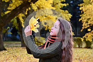 pretty girl in sweater and scarf holds bouquet of yellow maple leaves. Teenage girl walks in autumn park