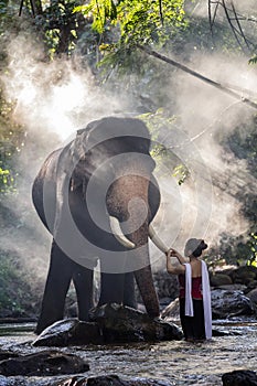 Pretty girl in traditional thai costumes touching elephant`s ivory