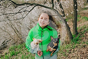 Pretty girl with two chihuahua dogs on the nature