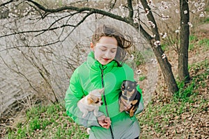 Pretty girl with two chihuahua dogs on the nature