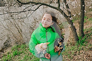 Pretty girl with two chihuahua dogs on the nature