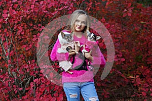 Pretty girl with two chihuahua dogs on the nature