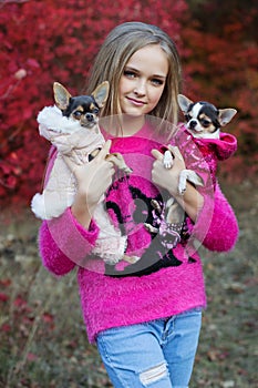 Pretty girl with two chihuahua dogs on the nature