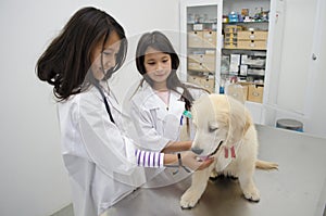 Pretty girls Pretending to be veterinarians. photo