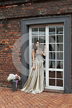 Pretty glamorous woman wearing long fashionable dress, fashion beauty portrait