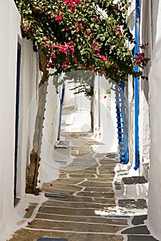Pretty Greek Pathway, Ios, Greece photo