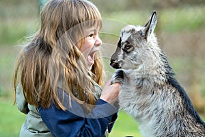 Pretty happy child girl playing with small kid goat at farm yard