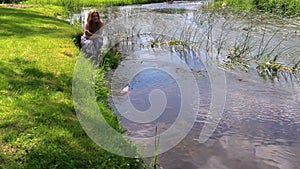 Pretty happy woman girl let paper origami ship on river water