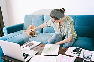 Pretty happy young woman work home using laptop with her cat at sitting on the coach. Student freelancer lifestyle