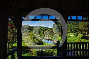 A pretty Japanese decor with a beautiful blue sky