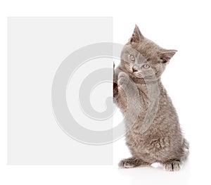 Pretty kitten peeking out of a blank sign, isolated