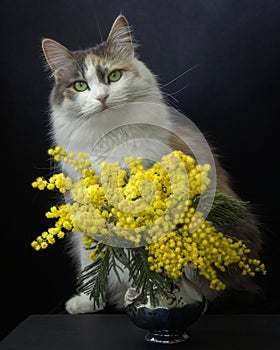 Pretty kitty and bouquet of flowers