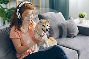 Pretty lady enjoying music in headphones using smartphone stroking dog at home