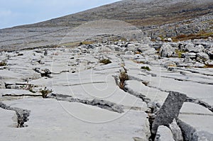 Beautiful landscape of Burren rocks in Ireland photo