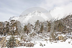 Pretty landscape of the snowy mountainous forest in the Pyrenees