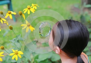 Pretty little Asian child girl with magnifying glass looks at flower in summer park