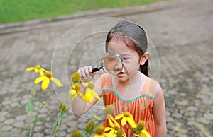 Pretty little Asian child girl with magnifying glass looks at flower in summer park