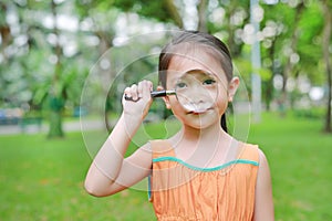 Pretty little Asian child girl with magnifying glass looks at flower in summer park