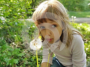 A pretty little girl draws air into her chest and blows off white fluffy dandelion seeds. A child with blond hair is dressed in a