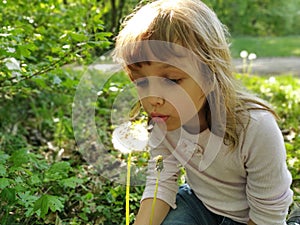 A pretty little girl draws air into her chest and blows off white fluffy dandelion seeds. A child with blond hair is dressed in a