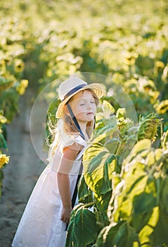 Pretty little girl in straw hat and in white dress in field of sunflowers over sunset lights
