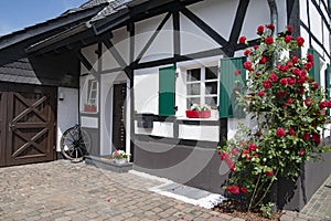 Small half-timber house with flowering red climbing roses and green window shutters photo