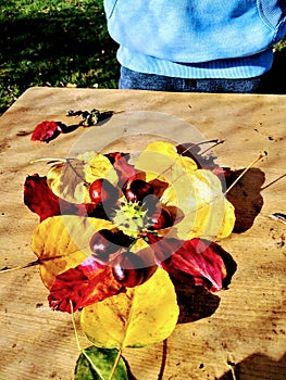 Pretty nature leaf art & conkers