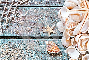 Pretty nautical card design with seashells