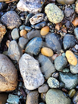 Pretty pebbles on a beach