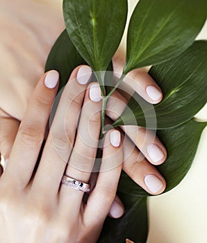 Pretty perfect woman hands with white manicure and green leaf on colorful background with wood, spa cosmetic concept