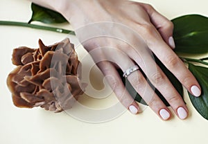 Pretty perfect woman hands with white manicure and green leaf on colorful background with wood, spa cosmetic concept